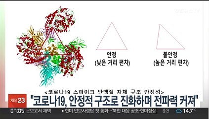 "코로나19, 안정적 구조로 진화하며 전파력 커져"