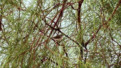 Ned's Corner Station, Victoria | Farmonline | May 13, 2022