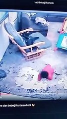 The cat saves the baby from death  (Like & Subscribe) | القطه انقذته عل اخر لحظه