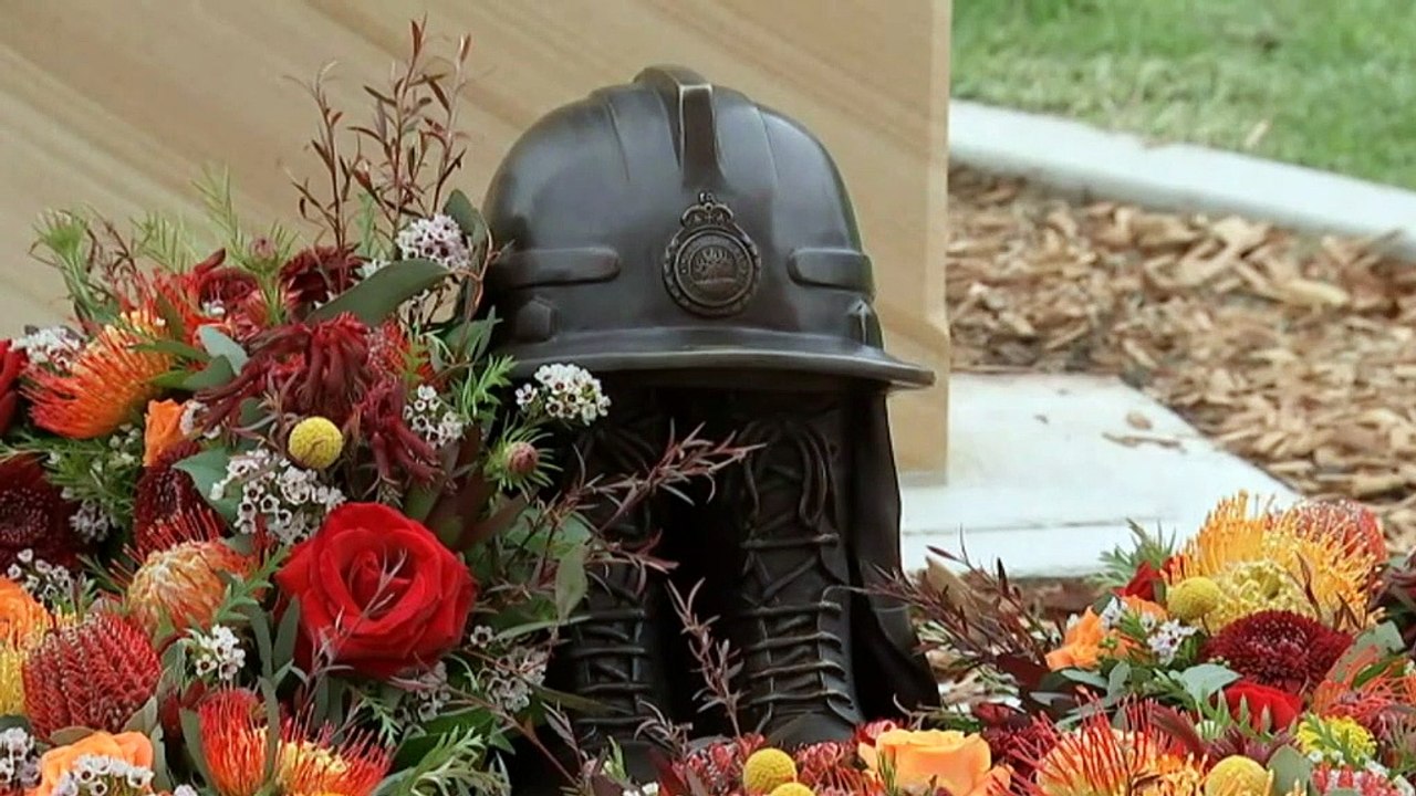 NSW fire inquiry hears fatal accident was unavoidable