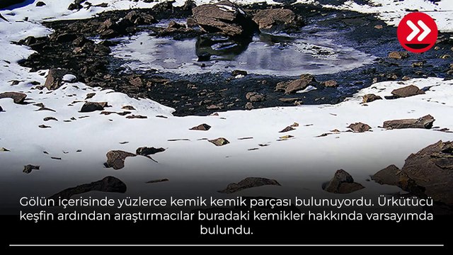 Sular çekilince yüzlercesi ortaya çıktı! 80 yıllık gizem çözülemiyor
