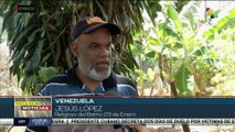 Organizaciones venezolanas emprenden proyectos agrícolas y sociales