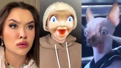 Funny TikToks to watch instead of sleeping (2)