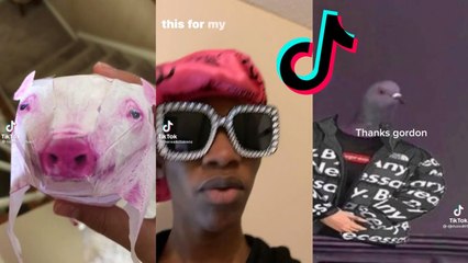 Funny TikToks that made my brain cells leave