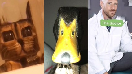 Funny TikToks that made my IPhone turn into a WePhone