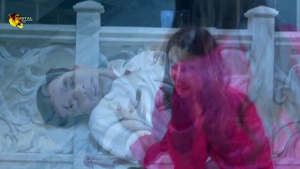 Ta Na Shi Markedale | Badamala Khaza | Best Scene | Spice Media - Lifestyle