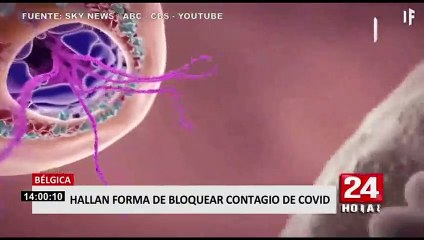 COVID-19: Científicos encuentran una manera de bloquear el contagio