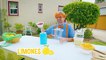 Blippi pone un puesto de limonada  | Aprende con Blippi | Videos Educativos para niños