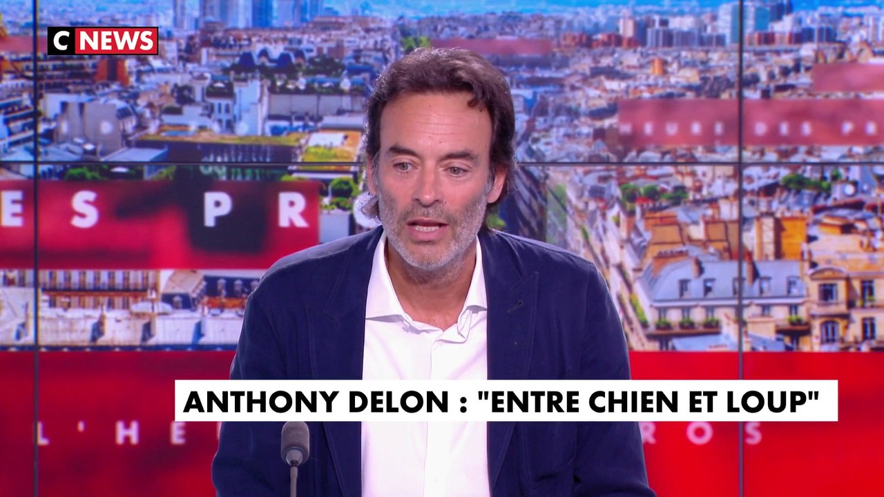 Anthony Delon : «Mon père m’a dit : "J’aimerais tomber amoureux"»