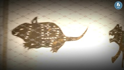 FEMME ACTUELLE - Horoscope chinois du jour du samedi 28 mai 2022, le Serpent de Métal