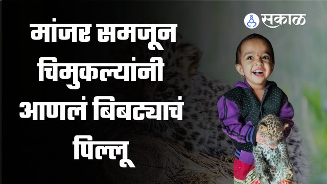 Nashik | लहानग्यांनी बिबट्याचं पिल्लू घरी आणल्यावर काय झालं ? | Sakal Media |