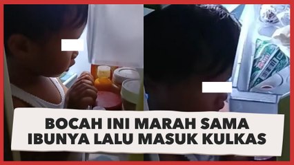 Video Gemez! Bocah Ini Marah Sama Ibunya Lalu Masuk Kulkas, Emaknya: Dia Lagi Curhat Sama Bawang Putih