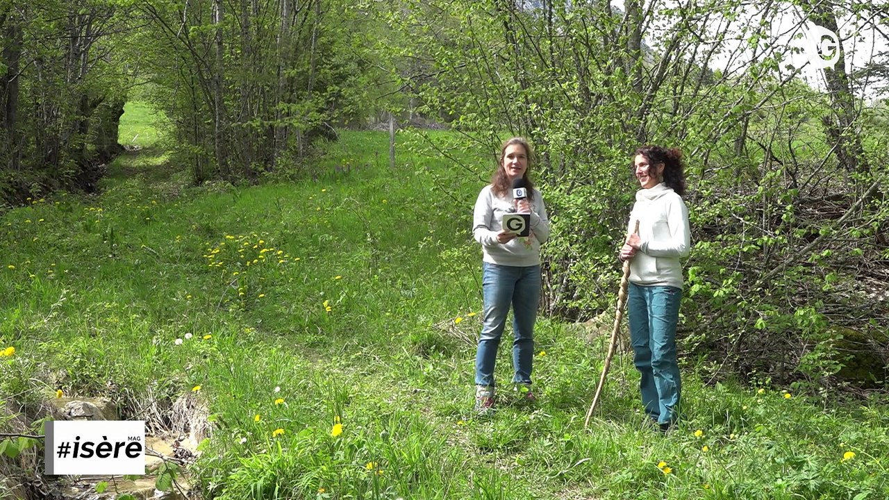 ISEREMAG - 05/22 - Routes, Enac, Isère Médecins, Course de la résistance, Expo Jean Vinay, Sylvothérapie