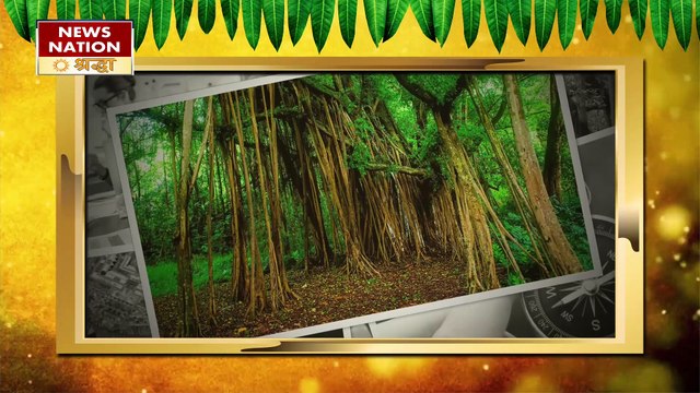 सौभाग्य जगाने के लिए वरदान है केसर, मंगल दोष से मुक्ति और लक्ष्मी सिद्धि पाने का है अचूक उपाय