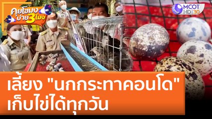 เลี้ยง "นกกระทาคอนโด" เก็บไข่ได้ทุกวัน | คุยโขมงบ่าย 3 โมง