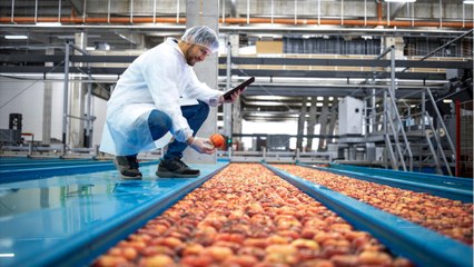 Les usines alimentaires sont-elles assez contrôlées ?