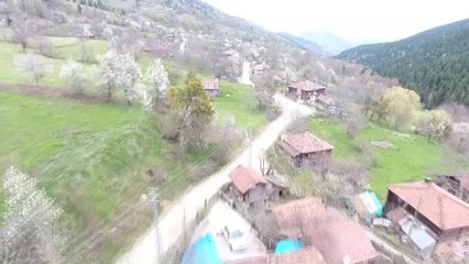 Sinop'ta Kaybolan 5 Yaşındaki Otizmli İbrahim Ay, 2,5 Yıldır Bulunamadı