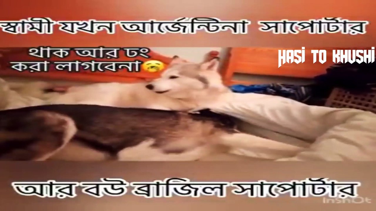 Funny video episode 2