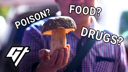 The Delicious, Dangerous, Poisonous World Of Wild Mushrooms In China