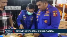 Polisi Amankan Ganja Seberat 49 Kg yang Akan Diseludupkan ke Kepulauan Riau