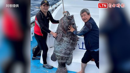 爽拉夢幻魚種！釣友「中樂透」 釣起近90公斤深海大石斑(阿卷提供)