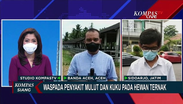 Upaya Pencegahan Wabah Penyakit Mulut dan Kuku agar Tidak Semakin Parah dan Merugikan Peternak