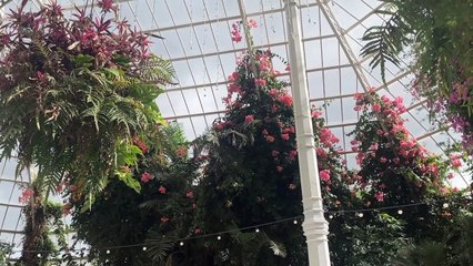 The hidden gems you may have missed at Liverpool’s Sefton Park Palm House
