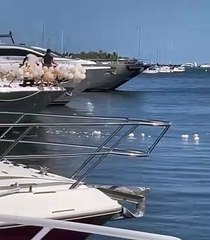 Miami: Ils se débarrassent de ballons en plastique dans la mer après une fête sur un yacht