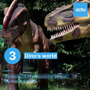 10 sorties au Mans les 14 et 15 mai 2022