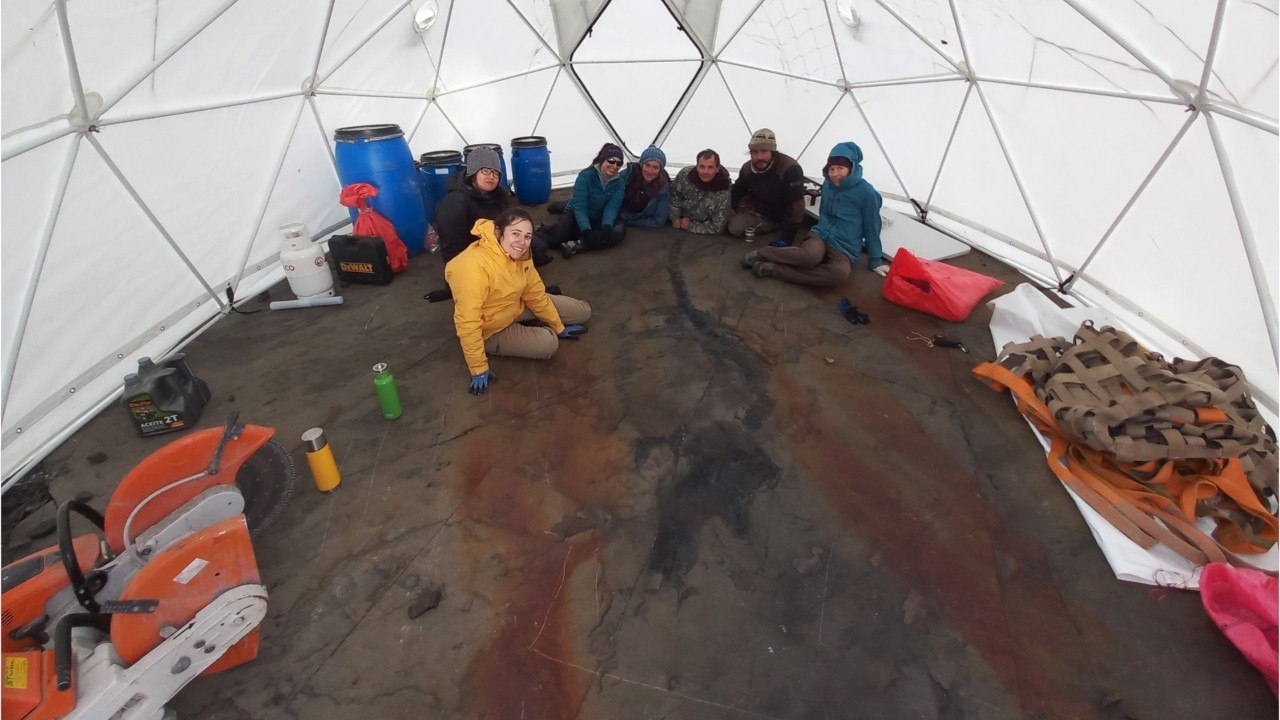 Au Chili, un dinosaure marin fossilisé avec des bébés dans le ventre a été découvert