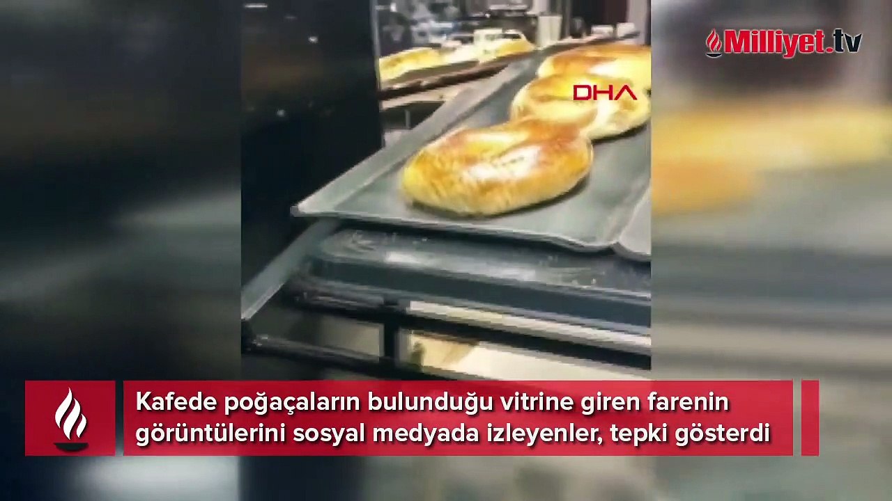 Fırında mide bulandıran görüntü! İnceleme başlatıldı