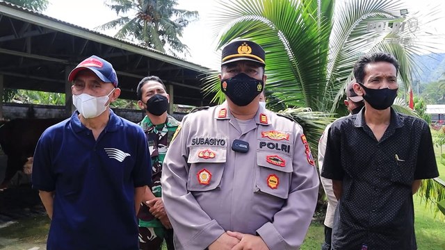 Cegah Wabah PMK. Polres Jember Kolaborasi Bersama 3 Pilar Melakukan penyemprotan cairan pembunuh virus atau disinfektan