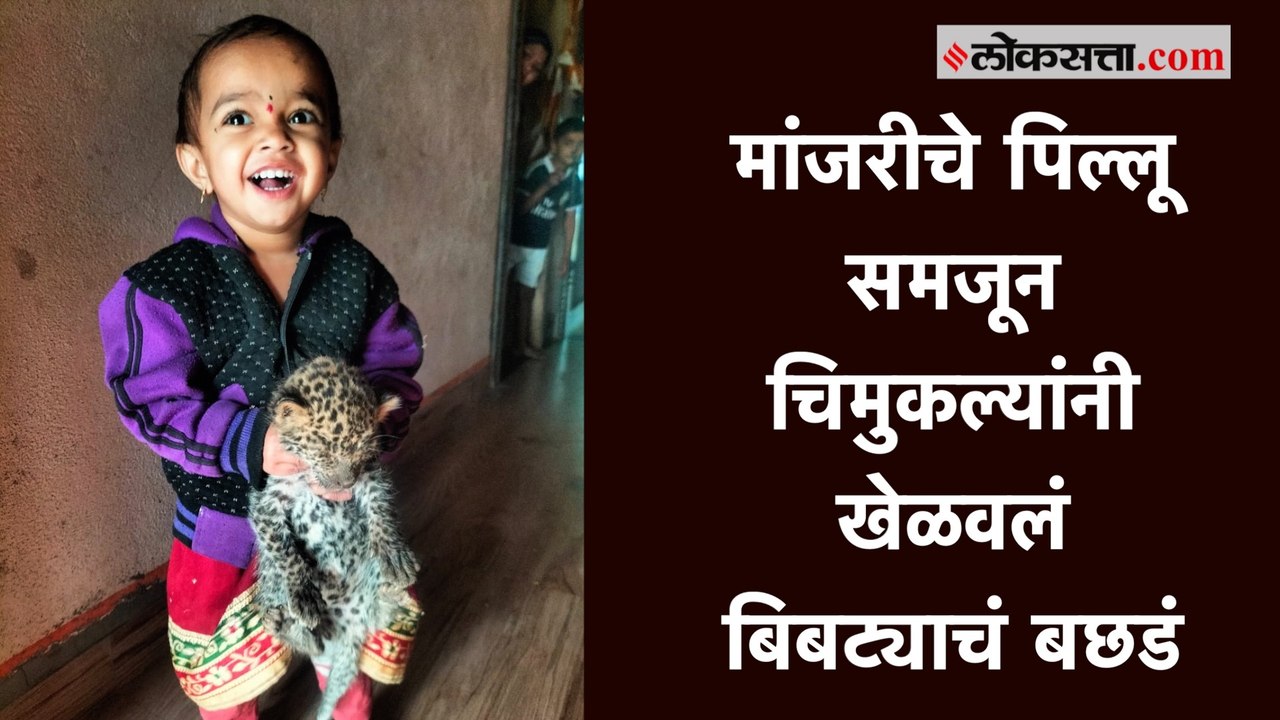 नाशिक: चिमुकल्यांनी बिबट्याच्या बछड्याचं पाच दिवस केलं संगोपन, लक्षात येताच...