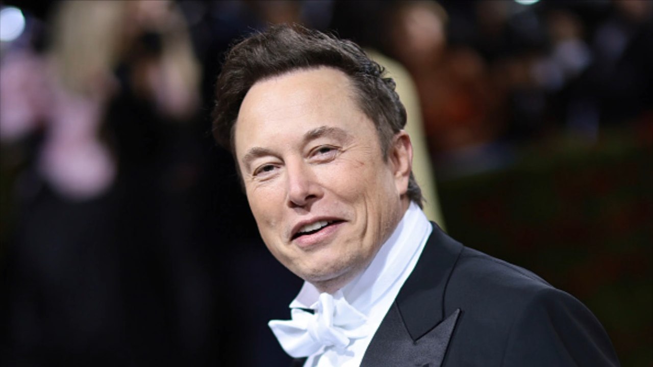 Qui est Elon Musk ?