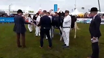 Balmoral Show 2022 - judges reveal the winners