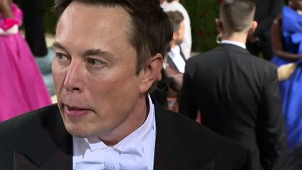 Elon Musk anuncia que suspende por ahora la compra de Twitter