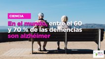 En el mundo, entre el 60 y 70 % de las demencias son alzhéimer