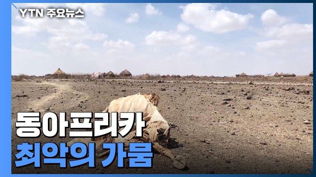 동아프리카 최악의 가뭄, 천 300만 명 굶주린다 / YTN