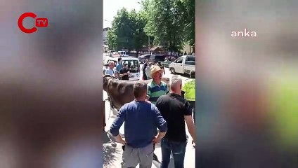 AKP'li belediyeyi ineği ile protesto etti, gözaltına alındı