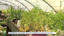 SOLIDARITE / Les jardins du cœur de Blois ouvrent leurs portes