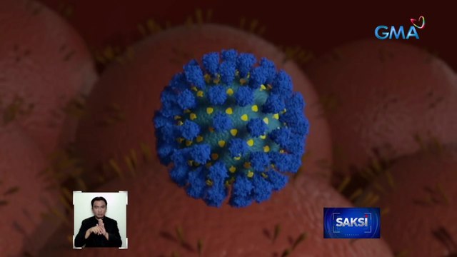 14 na bagong kaso ng Omicron subvariant BA.2.12.1, na-detect sa Pilipinas | Saksi