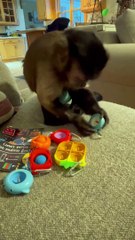 Blue Orange MAIL!!  Thank you Blue Orange  for thinking of me !! I love them!!