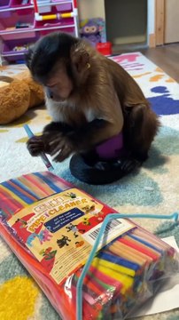 Playroom fun Gaitlyn Rae Just hanging out with my sister Sandy and making pipe cleaner crafts