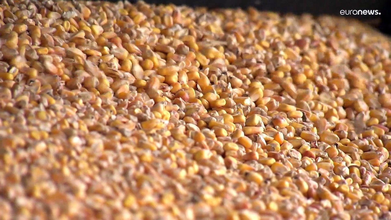 La agricultura, la primera afectada por la guerra en Ucrania en la industria alimentaria