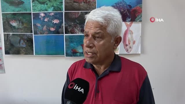 Prof. Dr. Mehmet Gökoğlu: Yunusların teknelerle yarışı kaybedince intihar ettiği inancı yanlış