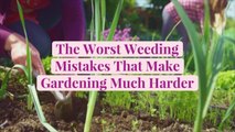 7 of the Worst Weeding Mistakes That Make Gardening Much Harder