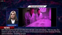 Plants Grown in Moon Soil for First Time Tease Future of Lunar Lunch - 1BREAKINGNEWS.COM