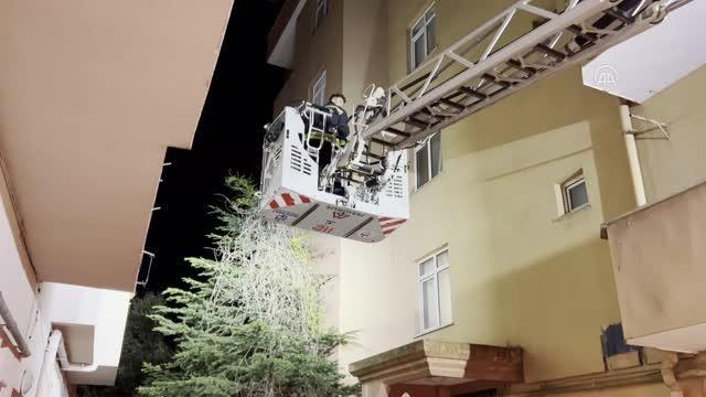 Ağaçta mahsur kalan kediyi itfaiye kurtardı