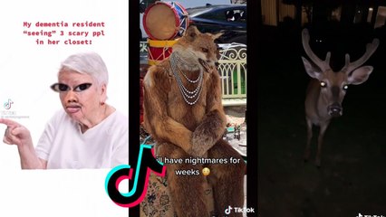 Funny TikToks to watch while you're eating