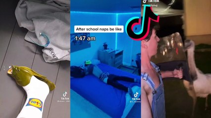 Funny TikToks that made One Direction take Two Directions